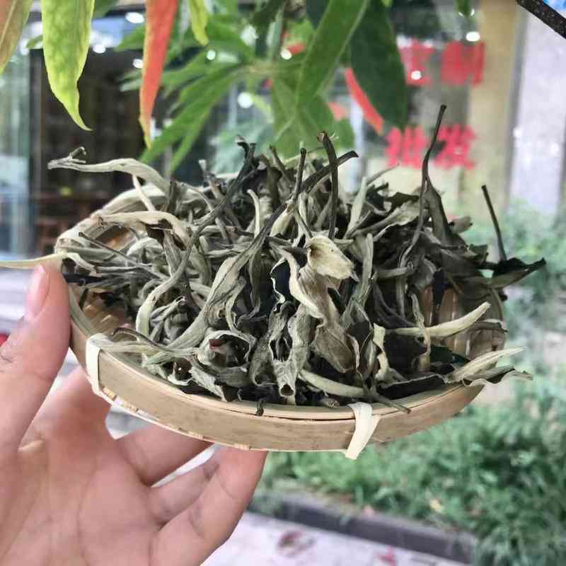 云南古树普洱茶古树纯料