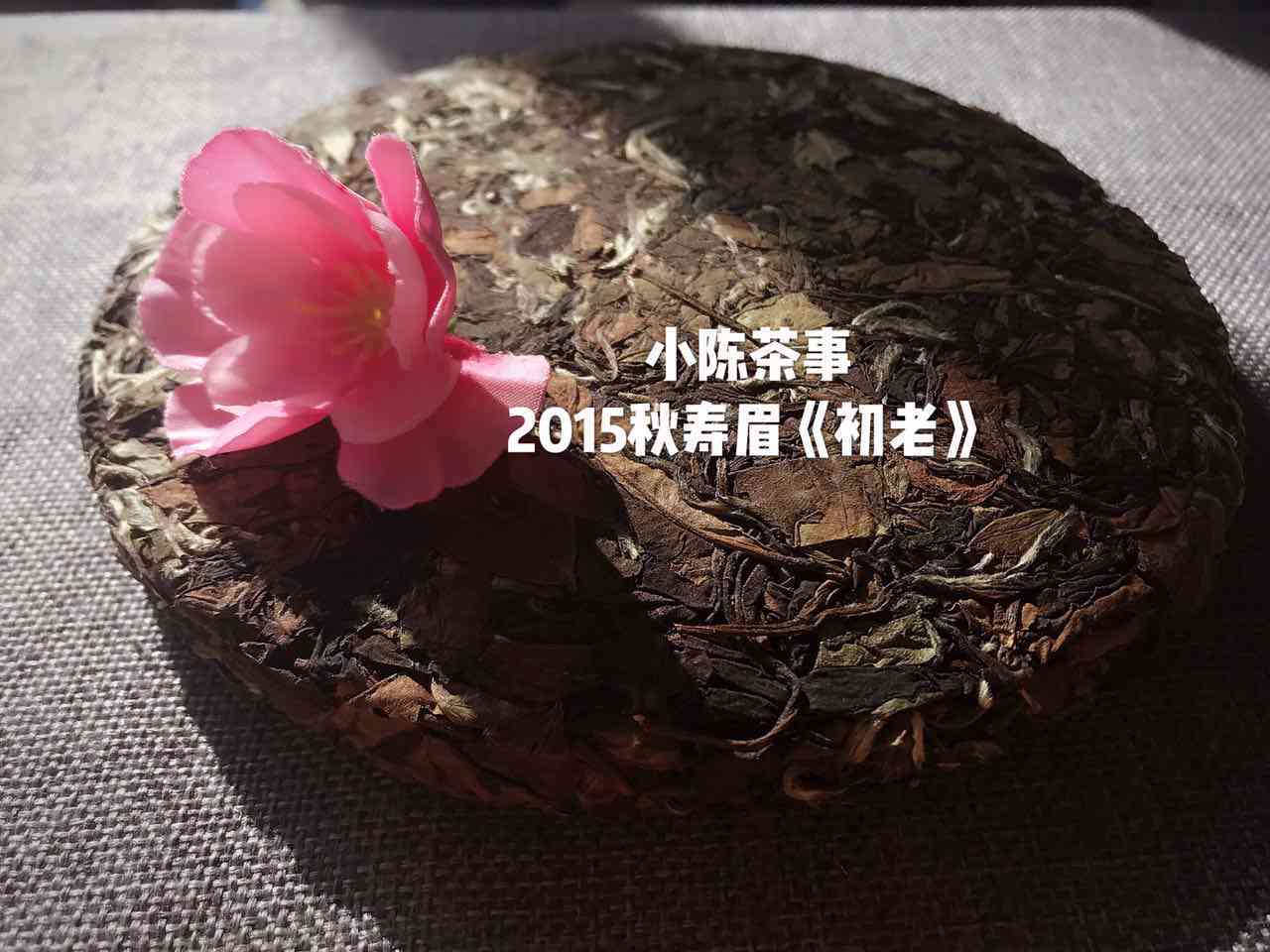 普洱茶饼茶是比散茶好吗