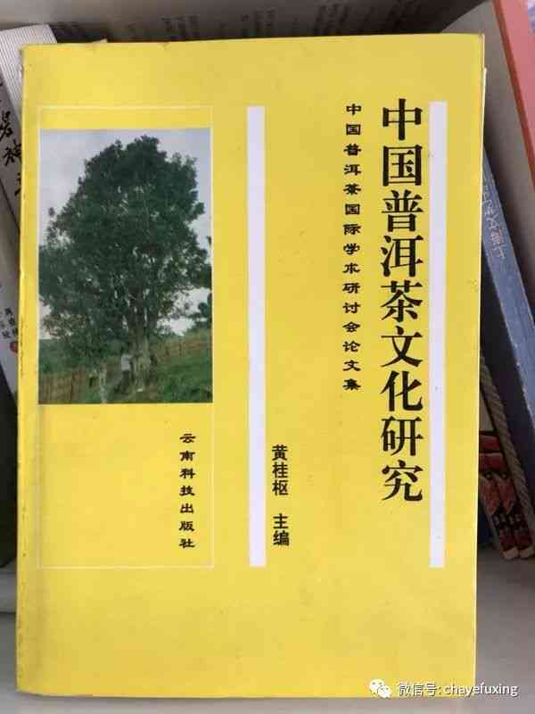 下关定制包销普洱茶：真相揭秘与购买指南