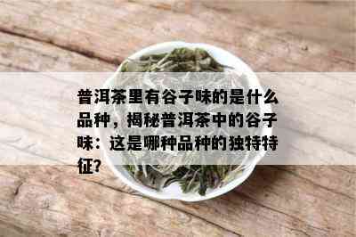 探究具有谷物香气特质的普洱茶品种：除了普洱、米香和糯米，还有哪些？