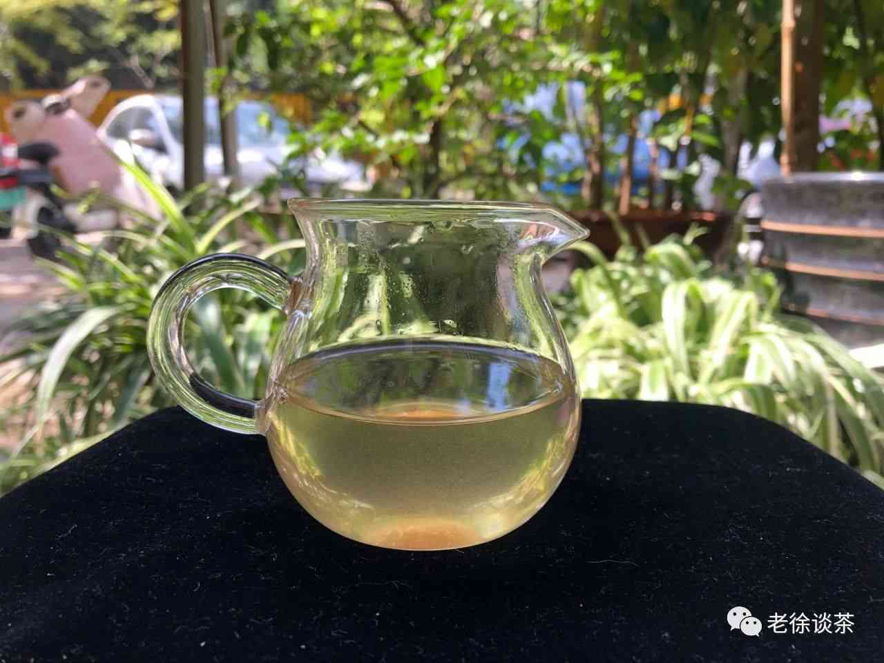 全面了解景迈古树茶价格、品质与购买渠道，助您轻松选购优质茶品