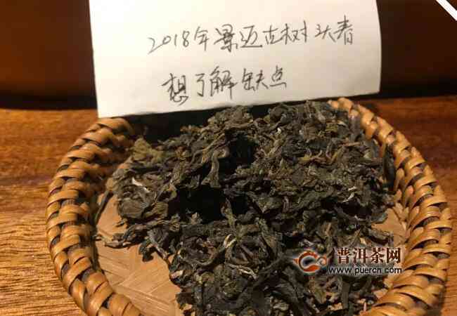 全面了解景迈古树茶价格、品质与购买渠道，助您轻松选购优质茶品