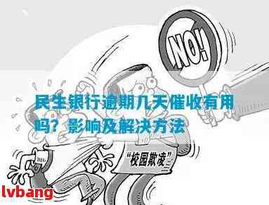 民生银行逾期9个月：解决方案、影响与应对策略全解析