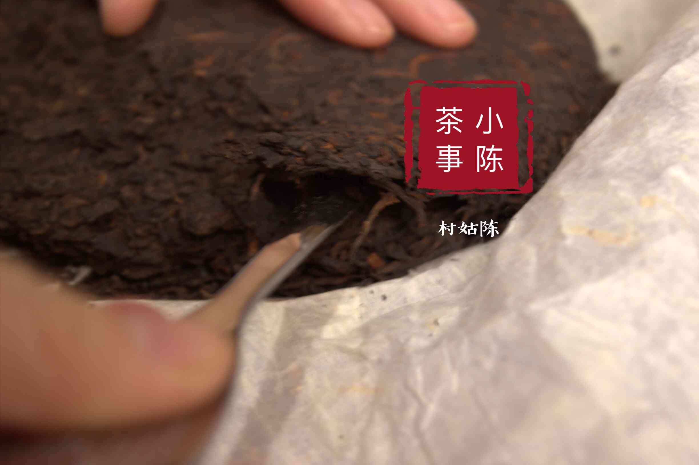 普洱茶的冲泡方法及其适合的喝茶时间