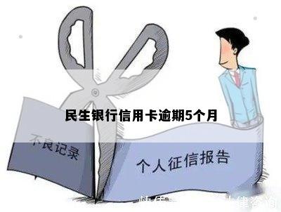 民生银行信用卡逾期一天的影响：还款不容忽视