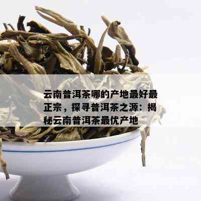 云南普洱茶的产地之争：揭秘为何只有云南才能出优质普洱茶叶