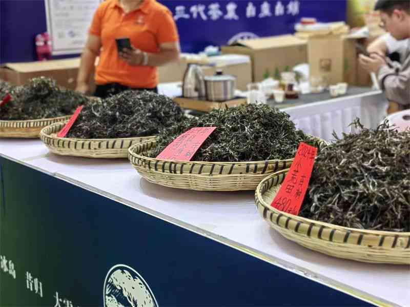 云南普洱茶直播间：千万网友关注的茶叶故事与制作工艺