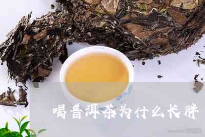 喝普洱茶不长胖吧为什么