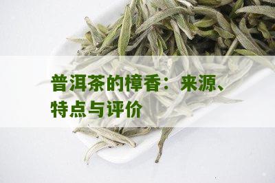 樟香特级普洱茶是什么茶啊？樟香普洱茶详解与区别。