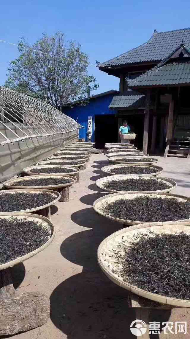 云南特色普洱茶专业加工与制造商：品质越，信誉至上