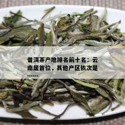 全国普洱茶产量排名前十