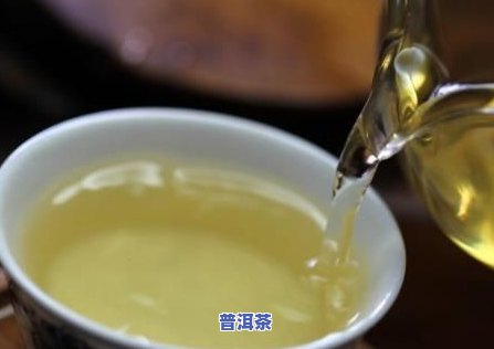 新普洱茶饮用时间与功效解析：如何喝出效果？