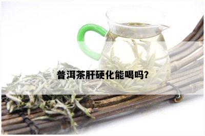 肝硬化可以喝老普洱茶吗