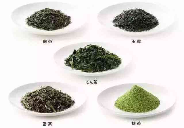 探究宝瓶茶文化：适合搭配什么茶品？