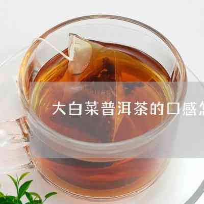 大白菜普洱茶老茶好喝吗？如何泡制与口感详解，揭示大白菜普洱茶的真正身份