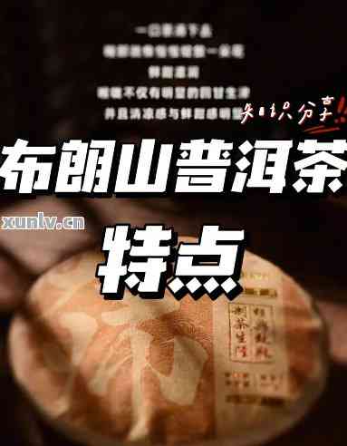 勐润普洱茶布朗山饼：价格、口感、功效及购买指南，一次解决用户所有疑问