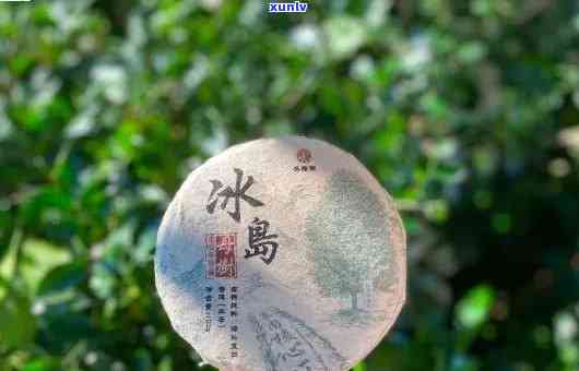 冰岛古树普洱茶的神秘魅力：一款超越价格与批发的艺术饮品