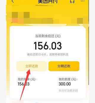 美团月付逾期100多天后的还款建议与解决办法