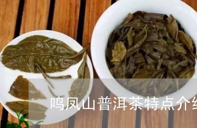 鸣凤山普洱茶：品种特点、制作工艺与品饮鉴全方位解析