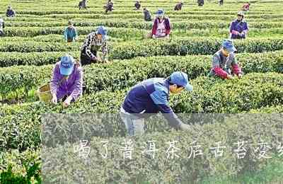 喝了普洱茶舌头没有白苔