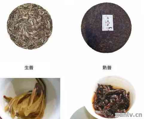 普洱茶的无塑料袋存放方法：如何避免使用并有效保存