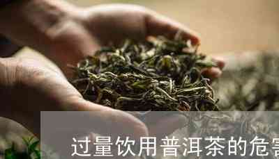 普洱茶过量饮用的危害及如何适量饮用以避免负面影响