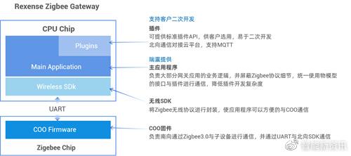 逾期两年：原因、影响及解决方案全面解析