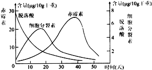 土成分与茶叶风味的密切关系：从种植条件到品质保障