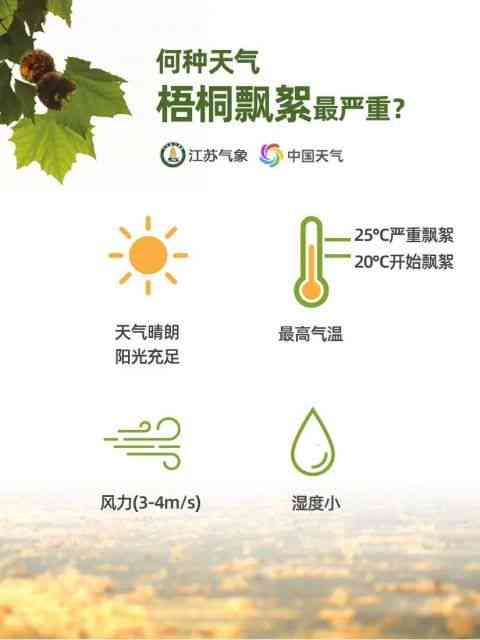 土成分与茶叶风味的密切关系：从种植条件到品质保障