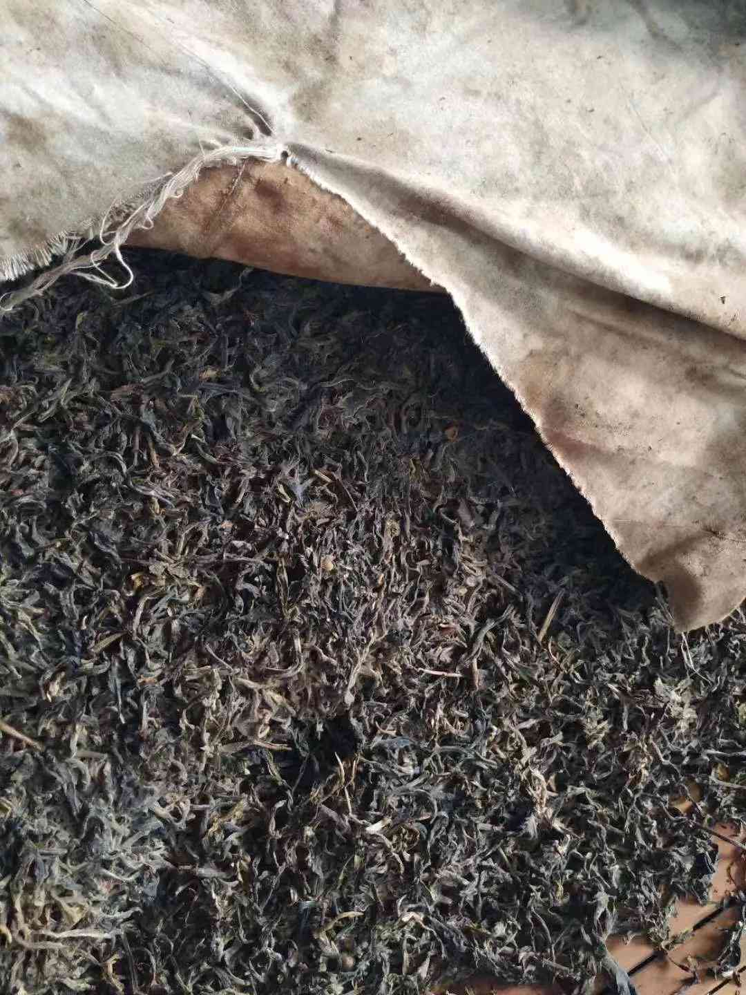 普洱茶投茶量比例：如何确定比例以获得口感和效果？