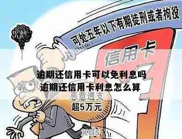 便民卡逾期还款宽限期：了解详情、避免罚息及影响