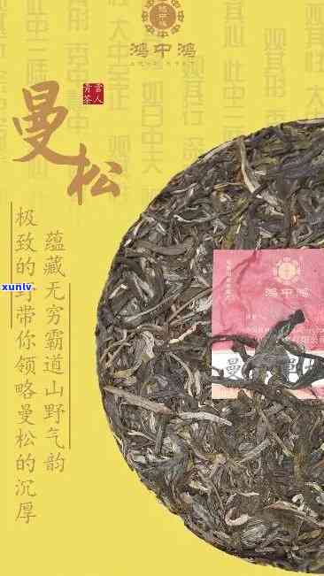 曼松普洱茶：探寻古树茶的魅力与奥秘