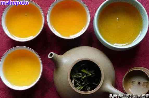 紫砂杯与普洱茶：兼容性探究及泡茶方式