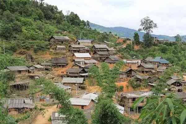 章家寨普洱茶产地在哪里