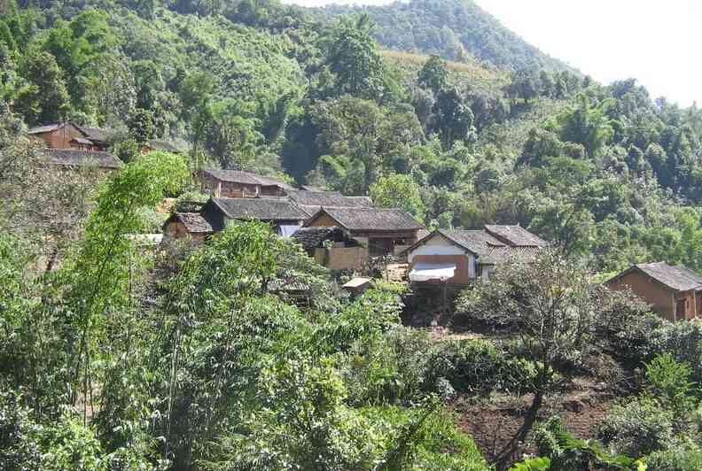 章家寨普洱茶产地在哪里