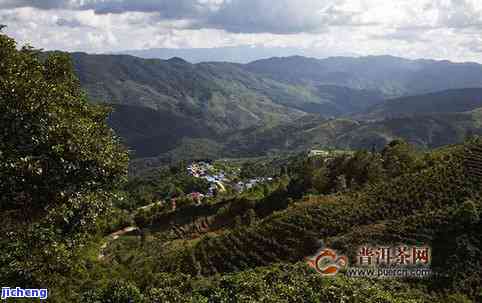 章家寨普洱茶产地是哪里