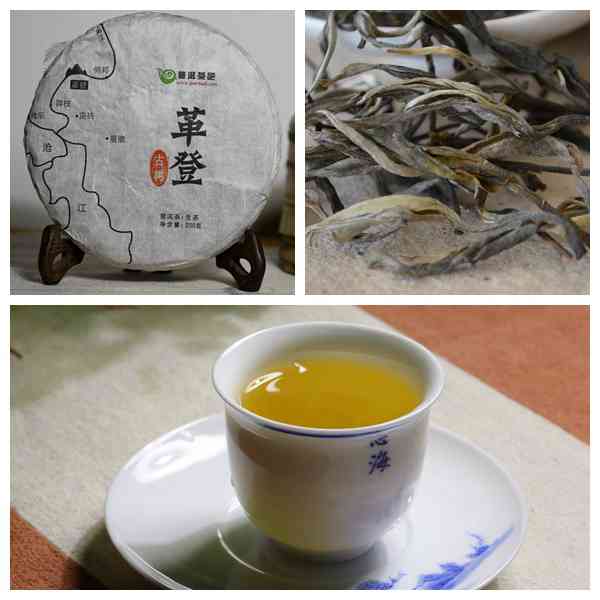 六大茶山普洱茶2013