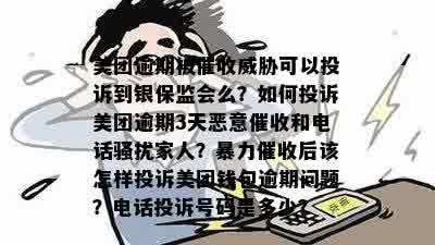 如何有效投诉美团逾期电话？遇到恶意应如何应对？