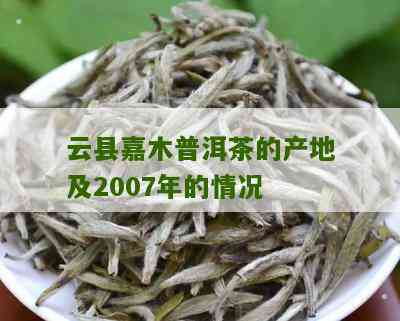 云县嘉木茶业2007年普洱茶：品质、制作工艺与保存方法的全面解析