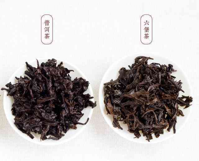 广西六堡茶属于普洱茶吗