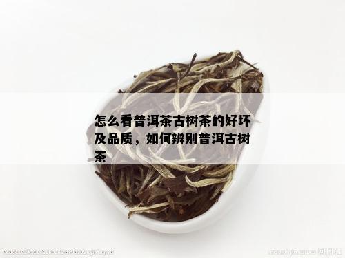 全面解析古树茶普洱茶品质：如何鉴别优劣并掌握选购技巧？