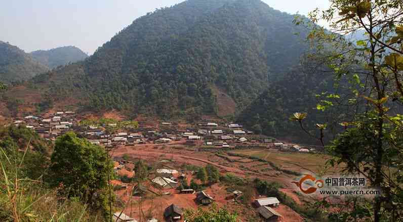 临沧县古树普洱茶产地：云南临沧特色茶区探秘