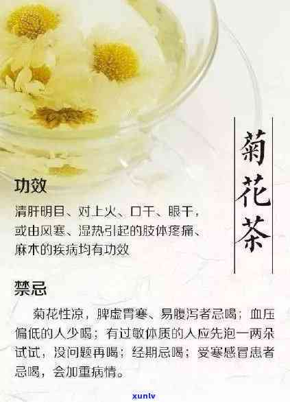 菊花普洱茶百科知识大全：功效、作用及食用方法详解