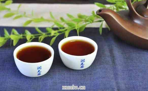 什么普洱茶用碗泡好喝