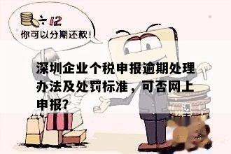 深圳个税逾期了可以网上申报吗？如何操作及处罚标准是什么？