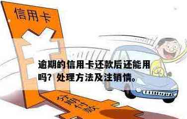 信用卡注销、补办与还款全方位指南：常见问题解答和应对策略