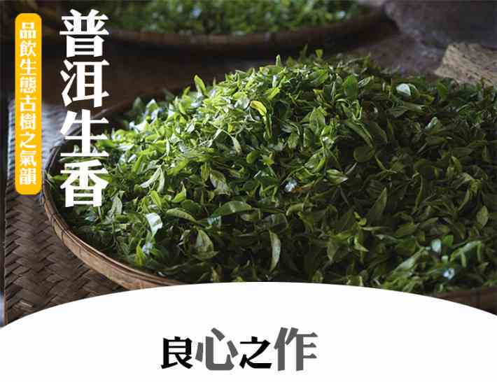 大雪山普洱茶古树茶生茶