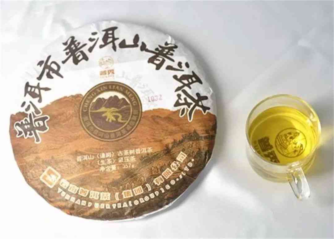 2013五子登科普：探索洱茶的魅力与品鉴之道