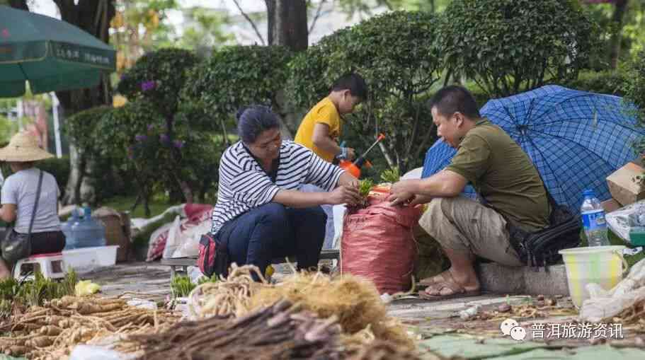 普洱茶表面出现油花的原因及品饮方法