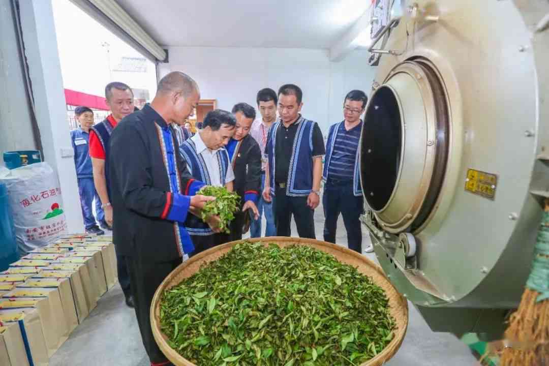 广州广茶叶场：寻找优质普洱茶供应商的极指南